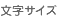 文字サイズ